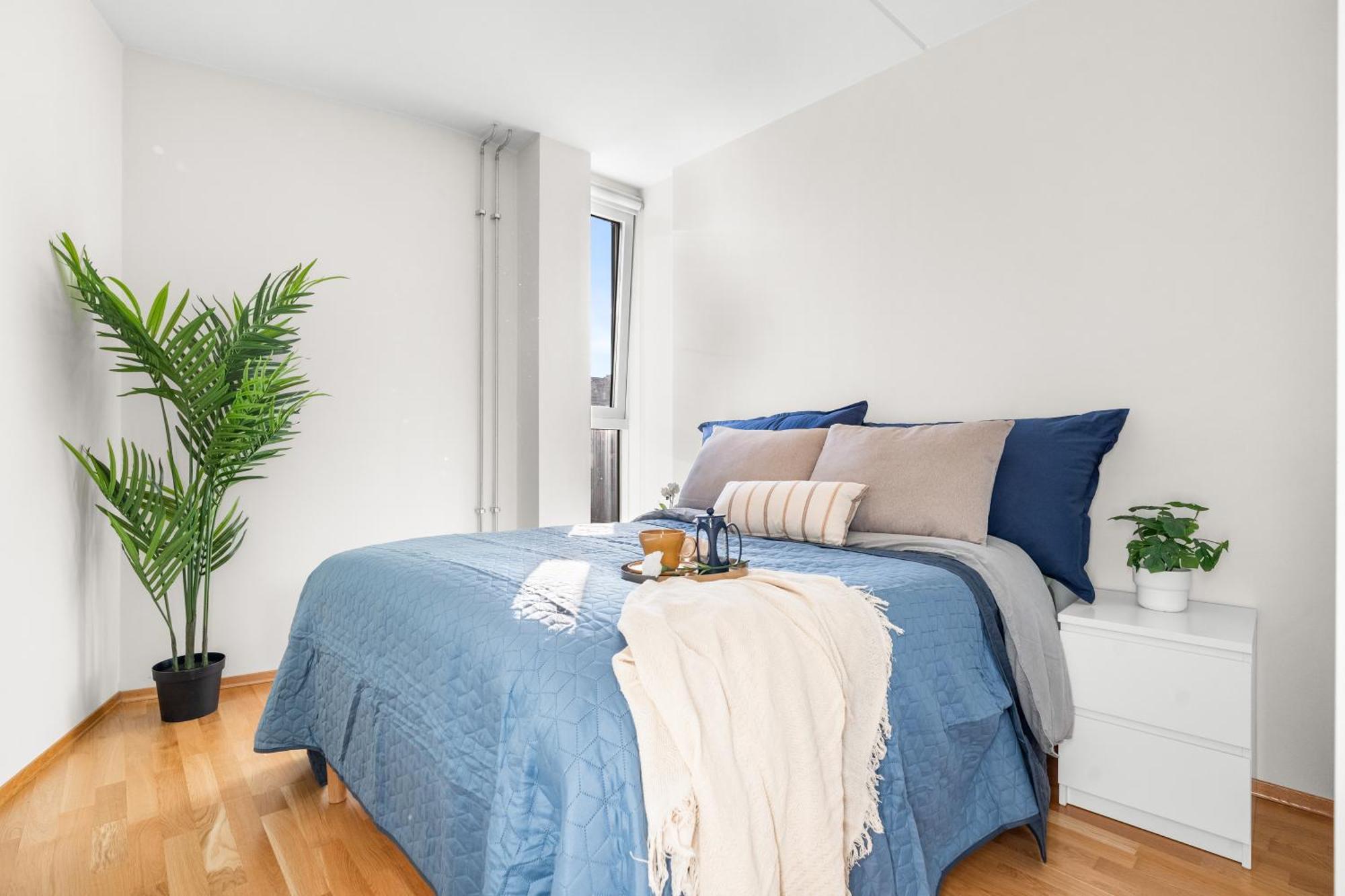 Top Floor With Balcony - Super Central - 5 Pax Oslo Ngoại thất bức ảnh